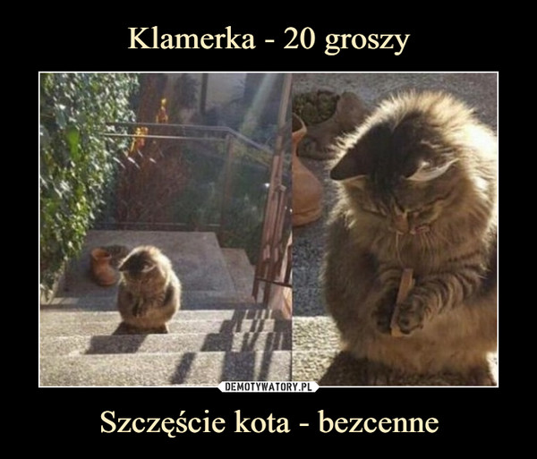 Klamerka - 20 groszy Szczęście kota - bezcenne