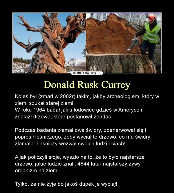 Donald Rusk Currey