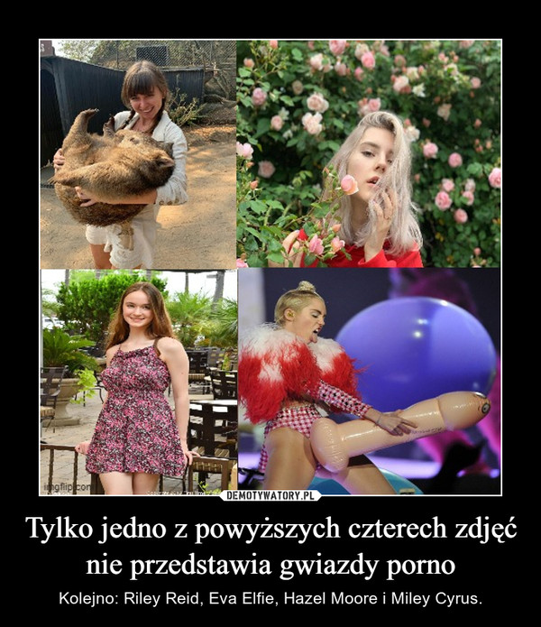 Tylko jedno z powyższych czterech zdjęć nie przedstawia gwiazdy porno – Kolejno: Riley Reid, Eva Elfie, Hazel Moore i Miley Cyrus. 