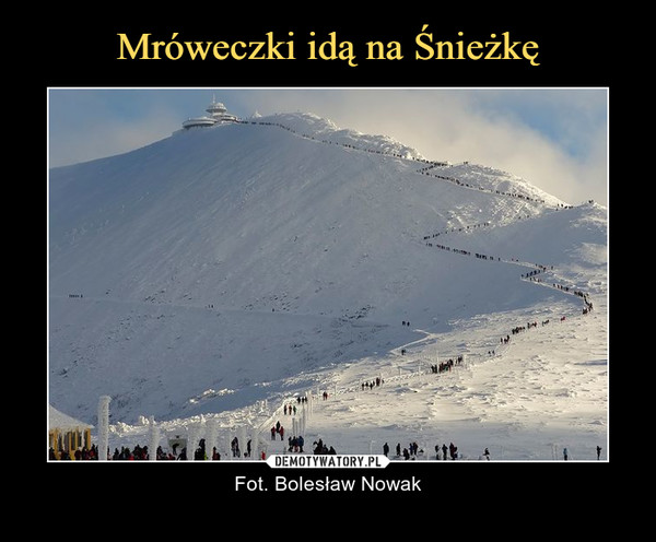  – Fot. Bolesław Nowak 