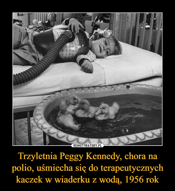 Trzyletnia Peggy Kennedy, chora na polio, uśmiecha się do terapeutycznych kaczek w wiaderku z wodą, 1956 rok –  