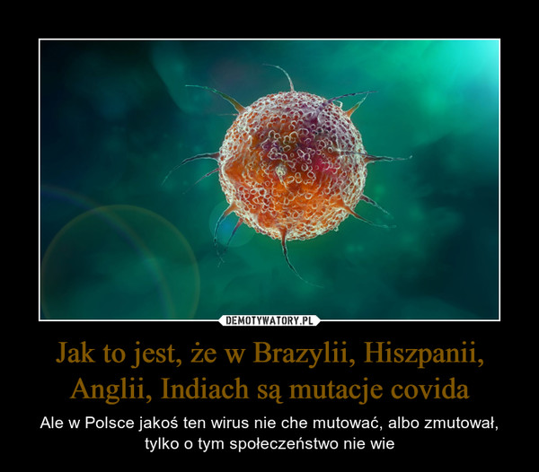 Jak to jest, że w Brazylii, Hiszpanii, Anglii, Indiach są mutacje covida – Ale w Polsce jakoś ten wirus nie che mutować, albo zmutował, tylko o tym społeczeństwo nie wie 