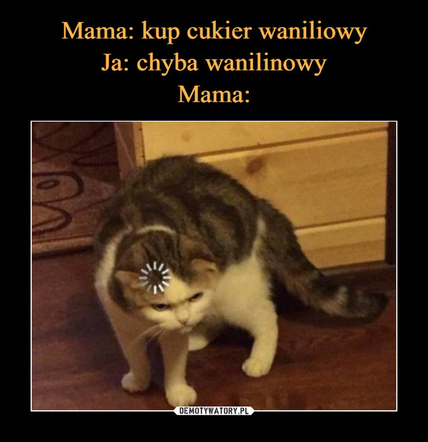 Mama: kup cukier waniliowy
Ja: chyba wanilinowy
Mama: