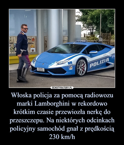 Włoska policja za pomocą radiowozu marki Lamborghini w rekordowo krótkim czasie przewiozła nerkę do przeszczepu. Na niektórych odcinkach policyjny samochód gnał z prędkością 230 km/h