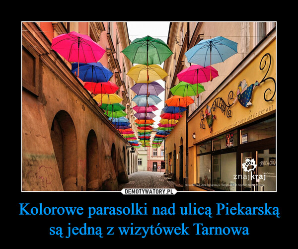 Kolorowe parasolki nad ulicą Piekarską są jedną z wizytówek Tarnowa –  