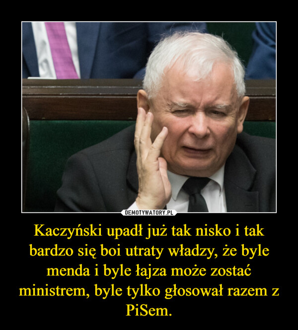 Kaczyński upadł już tak nisko i tak bardzo się boi utraty władzy, że byle menda i byle łajza może zostać ministrem, byle tylko głosował razem z PiSem. –  