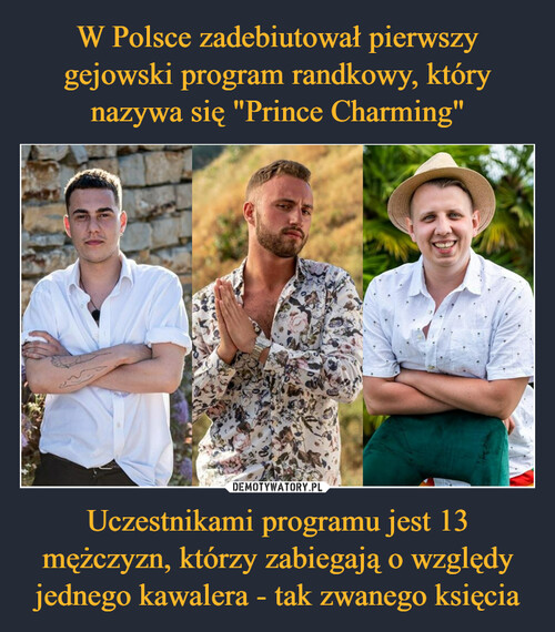 W Polsce zadebiutował pierwszy gejowski program randkowy, który nazywa się "Prince Charming" Uczestnikami programu jest 13 mężczyzn, którzy zabiegają o względy jednego kawalera - tak zwanego księcia
