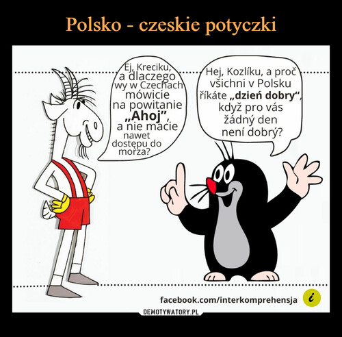 Polsko - czeskie potyczki