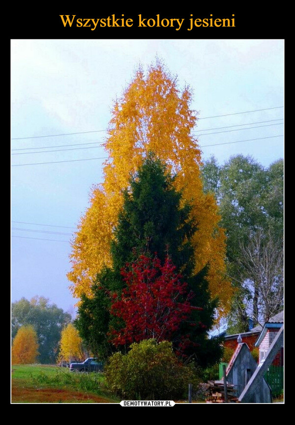 Wszystkie kolory jesieni