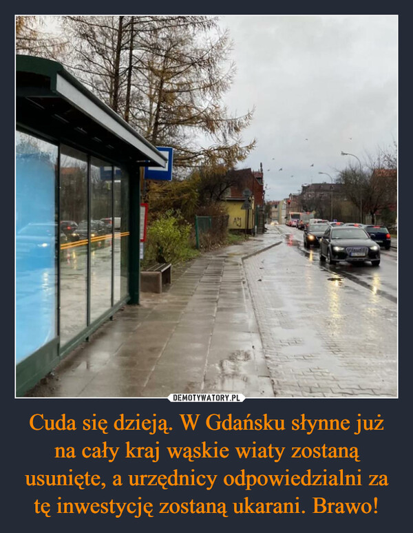 Cuda się dzieją. W Gdańsku słynne już na cały kraj wąskie wiaty zostaną usunięte, a urzędnicy odpowiedzialni za tę inwestycję zostaną ukarani. Brawo! –  