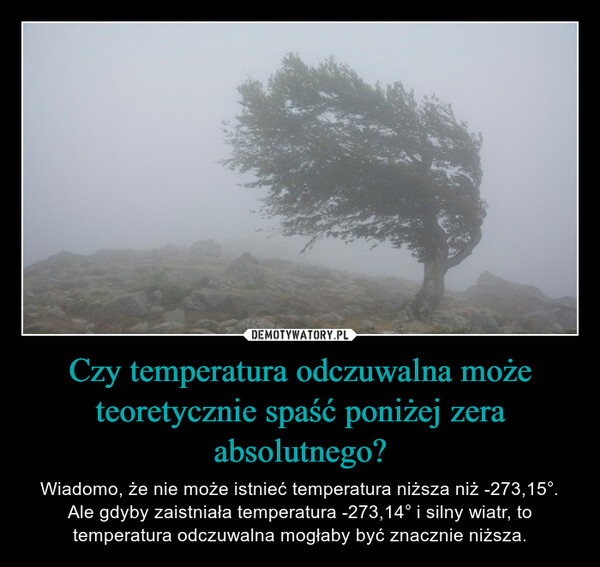 Czy temperatura odczuwalna może teoretycznie spaść poniżej zera absolutnego? – Wiadomo, że nie może istnieć temperatura niższa niż -273,15°. Ale gdyby zaistniała temperatura -273,14° i silny wiatr, to temperatura odczuwalna mogłaby być znacznie niższa. 