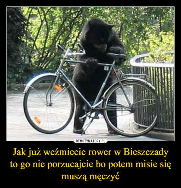 Jak już weźmiecie rower w Bieszczady to go nie porzucajcie bo potem misie się muszą męczyć –  