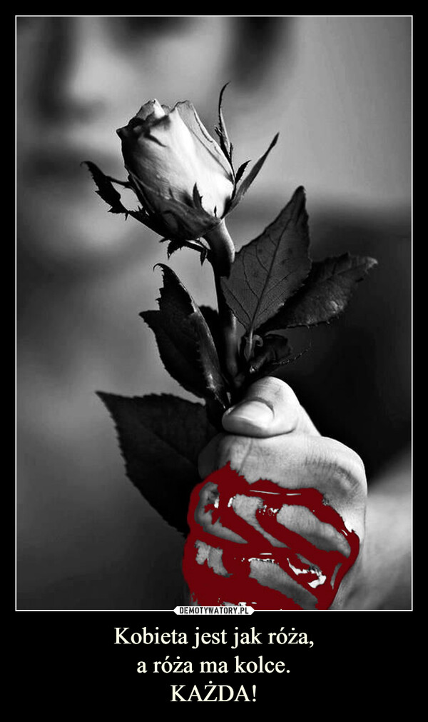 Kobieta jest jak róża,a róża ma kolce.KAŻDA! –  