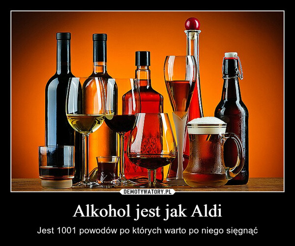 Alkohol jest jak Aldi – Jest 1001 powodów po których warto po niego sięgnąć 