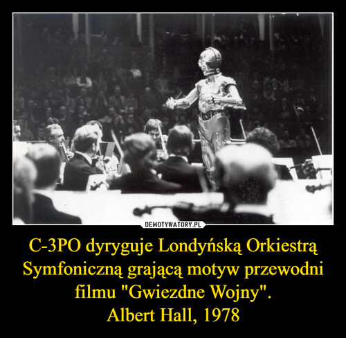 C-3PO dyryguje Londyńską Orkiestrą Symfoniczną grającą motyw przewodni filmu "Gwiezdne Wojny".
Albert Hall, 1978
