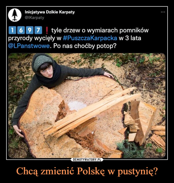 Chcą zmienić Polskę w pustynię? –  1697 tyle drzew o wymiarach pomnikówprzyrody wycięły w #PuszczaKarpacka w 3 lata@LPanstwowe. Po nas choćby potop?