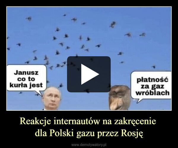 Reakcje internautów na zakręcenie dla Polski gazu przez Rosję –  