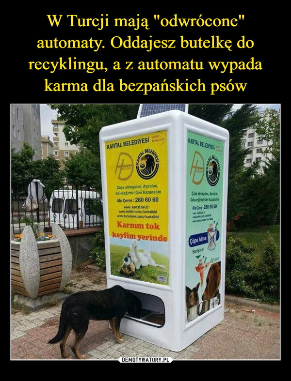 W Turcji mają "odwrócone" automaty. Oddajesz butelkę do recyklingu, a z automatu wypada karma dla bezpańskich psów