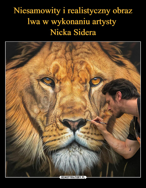 Niesamowity i realistyczny obraz lwa w wykonaniu artysty 
Nicka Sidera