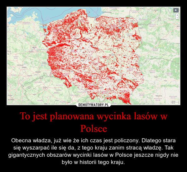 To jest planowana wycinka lasów w Polsce – Obecna władza, już wie że ich czas jest policzony. Dlatego stara się wyszarpać ile się da, z tego kraju zanim stracą władzę. Tak gigantycznych obszarów wycinki lasów w Polsce jeszcze nigdy nie było w historii tego kraju. 