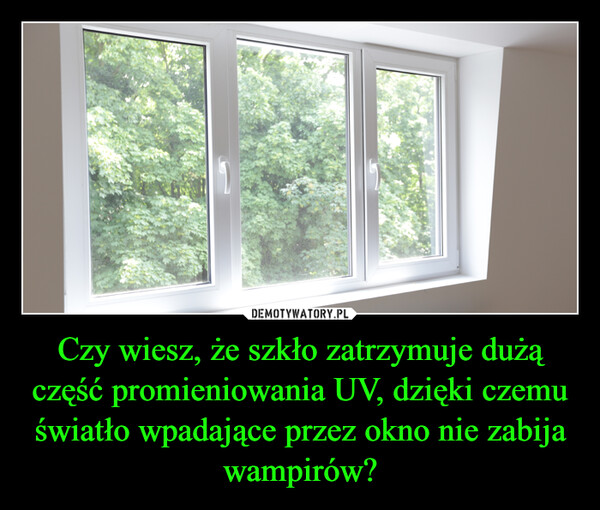 Czy wiesz, że szkło zatrzymuje dużą część promieniowania UV, dzięki czemu światło wpadające przez okno nie zabija wampirów? –  