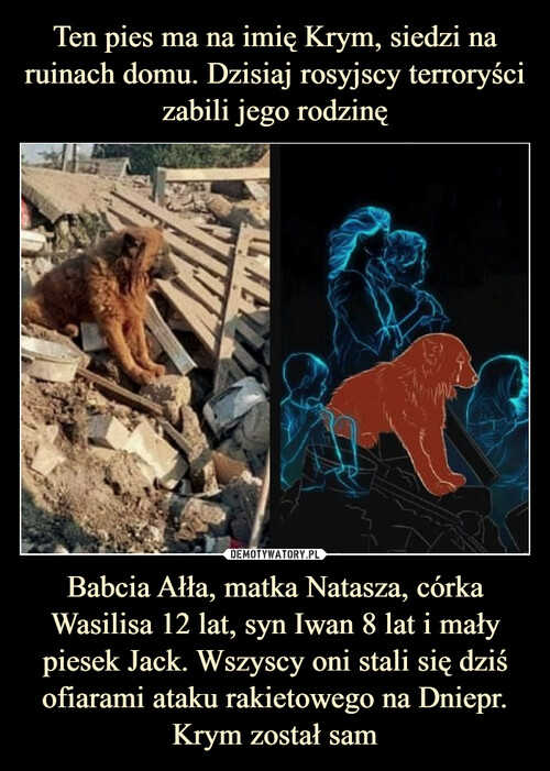 Ten pies ma na imię Krym, siedzi na ruinach domu. Dzisiaj rosyjscy terroryści zabili jego rodzinę Babcia Ałła, matka Natasza, córka Wasilisa 12 lat, syn Iwan 8 lat i mały piesek Jack. Wszyscy oni stali się dziś ofiarami ataku rakietowego na Dniepr. Krym został sam