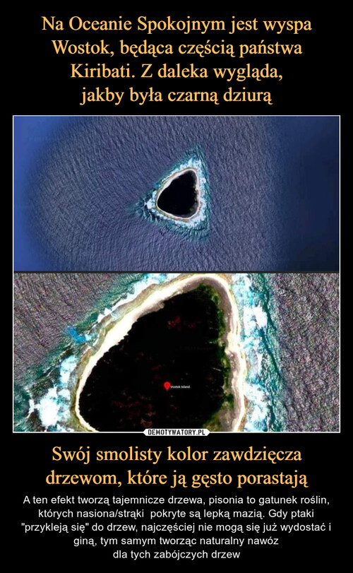 Na Oceanie Spokojnym jest wyspa Wostok, będąca częścią państwa
Kiribati. Z daleka wygląda,
jakby była czarną dziurą Swój smolisty kolor zawdzięcza drzewom, które ją gęsto porastają