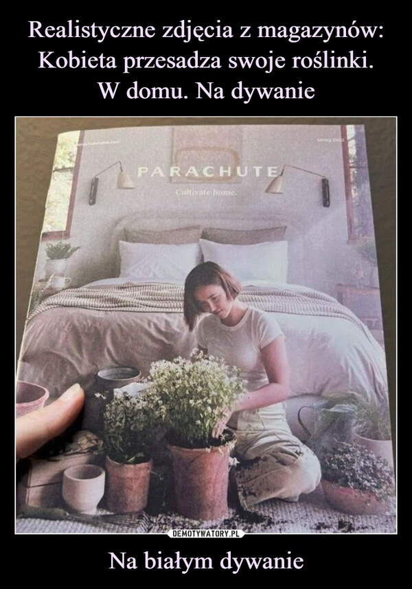 Realistyczne zdjęcia z magazynów: Kobieta przesadza swoje roślinki.
W domu. Na dywanie Na białym dywanie