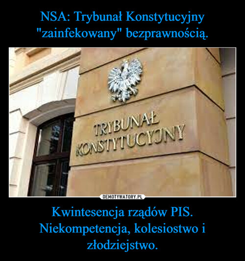 NSA: Trybunał Konstytucyjny "zainfekowany" bezprawnością. Kwintesencja rządów PIS. Niekompetencja, kolesiostwo i złodziejstwo.