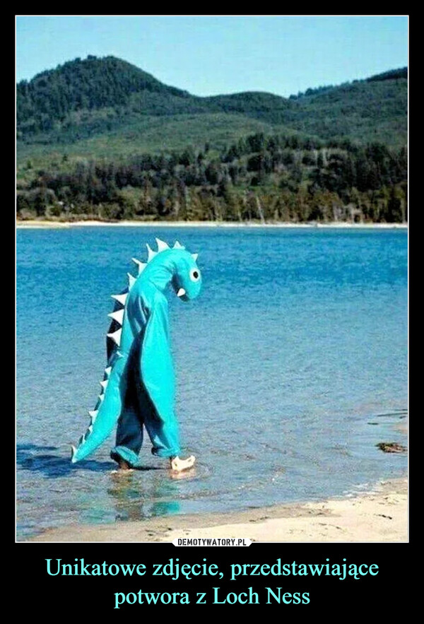 Unikatowe zdjęcie, przedstawiające potwora z Loch Ness –  