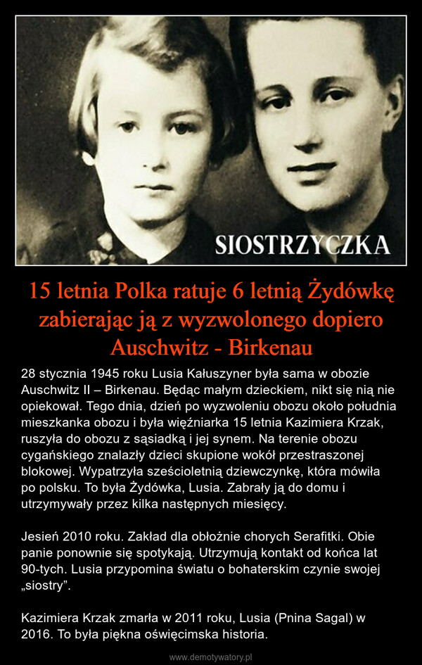15 letnia Polka ratuje 6 letnią Żydówkę zabierając ją z wyzwolonego dopiero Auschwitz - Birkenau – 28 stycznia 1945 roku Lusia Kałuszyner była sama w obozie Auschwitz II – Birkenau. Będąc małym dzieckiem, nikt się nią nie opiekował. Tego dnia, dzień po wyzwoleniu obozu około południa mieszkanka obozu i była więźniarka 15 letnia Kazimiera Krzak, ruszyła do obozu z sąsiadką i jej synem. Na terenie obozu cygańskiego znalazły dzieci skupione wokół przestraszonej blokowej. Wypatrzyła sześcioletnią dziewczynkę, która mówiła po polsku. To była Żydówka, Lusia. Zabrały ją do domu i utrzymywały przez kilka następnych miesięcy. Jesień 2010 roku. Zakład dla obłożnie chorych Serafitki. Obie panie ponownie się spotykają. Utrzymują kontakt od końca lat 90-tych. Lusia przypomina światu o bohaterskim czynie swojej „siostry”. Kazimiera Krzak zmarła w 2011 roku, Lusia (Pnina Sagal) w 2016. To była piękna oświęcimska historia. 