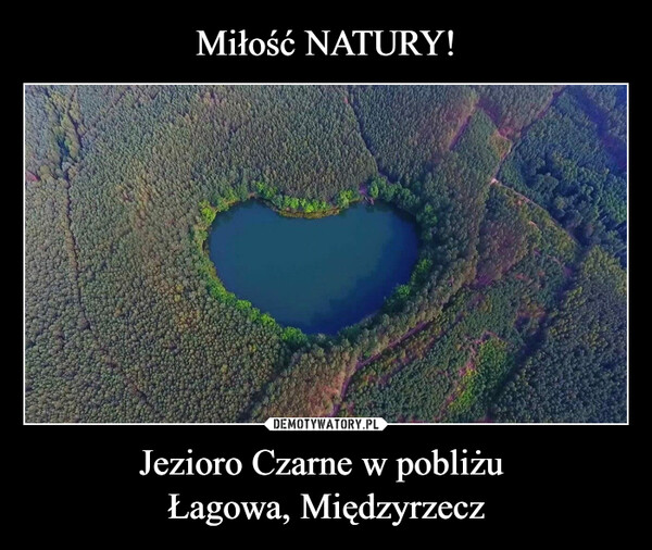 Miłość NATURY! Jezioro Czarne w pobliżu 
Łagowa, Międzyrzecz