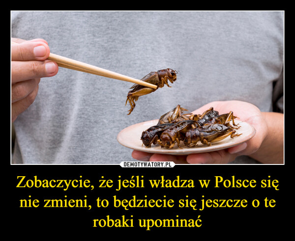 Zobaczycie, że jeśli władza w Polsce się nie zmieni, to będziecie się jeszcze o te robaki upominać –  