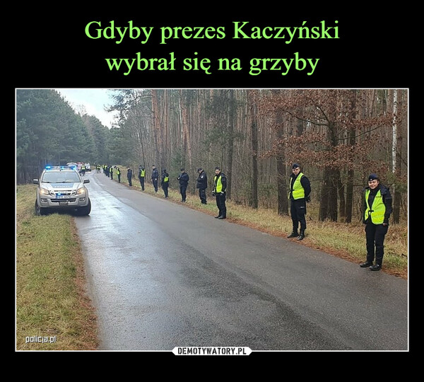Gdyby prezes Kaczyński
wybrał się na grzyby