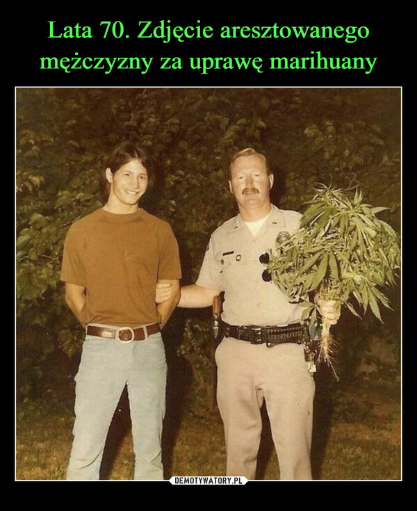 Lata 70. Zdjęcie aresztowanego mężczyzny za uprawę marihuany