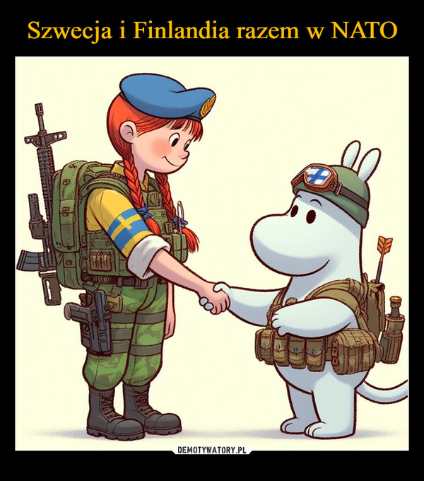 Szwecja i Finlandia razem w NATO